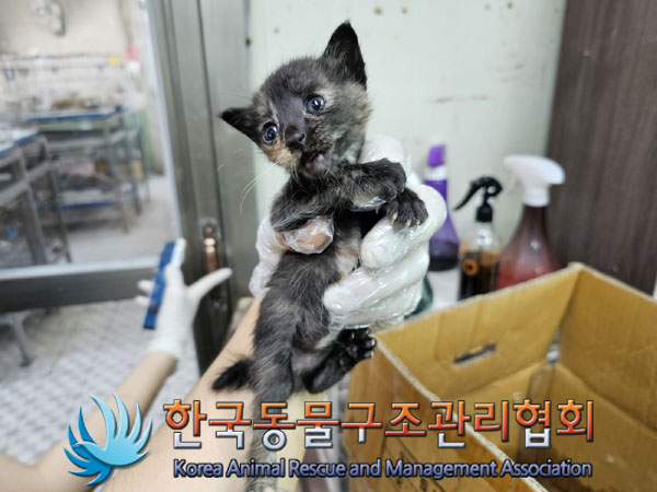 한국동물구조관리협회_411305202300203